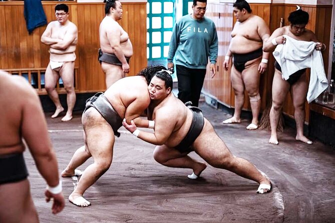 Tokyo: Sumo Morning Practice Viewing Tour at a Real Stable - Why the rituals matter as much as the wrestling