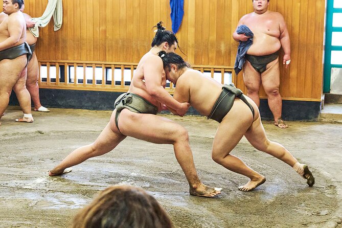 Tokyo: Sumo Morning Practice Viewing Tour at a Real Stable - Who will enjoy this most