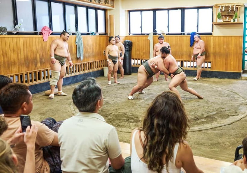 Tokyo: Sumo Morning Practice Viewing Tour at a Real Stable - My practical verdict on the guides