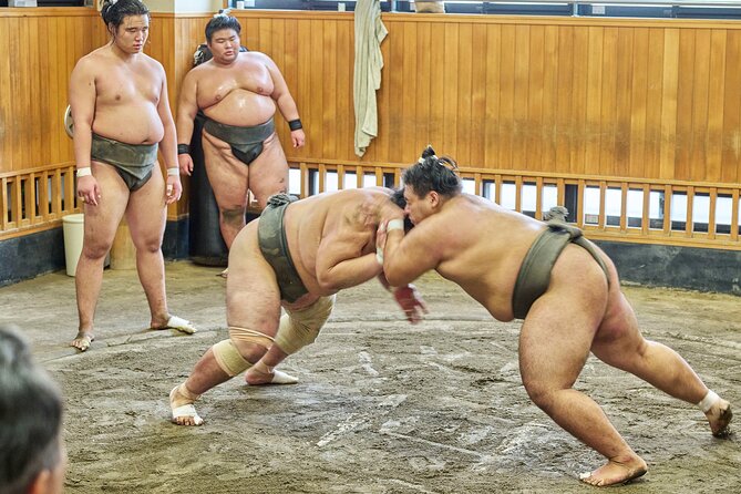 Tokyo: Sumo Morning Practice Viewing Tour at a Real Stable - Meeting at Kiyosumi-Shirakawa Station