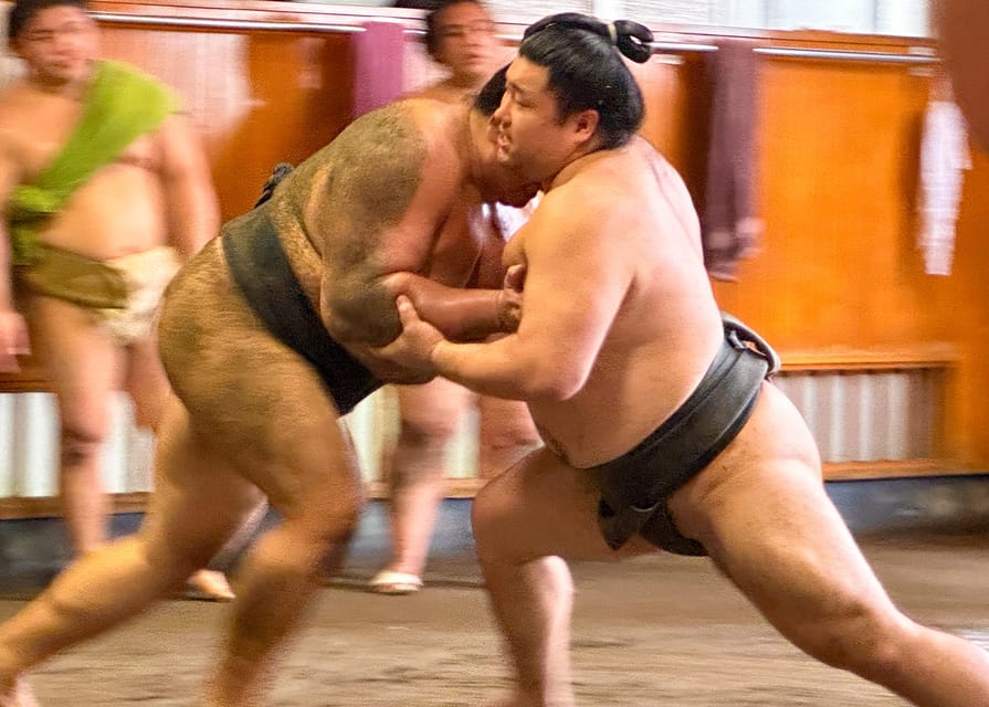 Tokyo: Sumo Morning Practice with journalists. Not fake show - Why this Tokyo sumo tour feels different