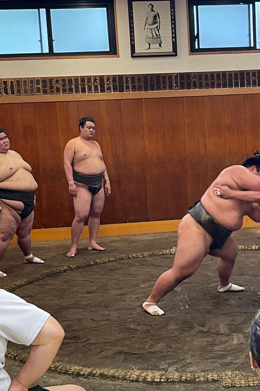 Tokyo: Sumo Morning Practice with Photo Banzuke and Guide - Who should book this sumo experience?