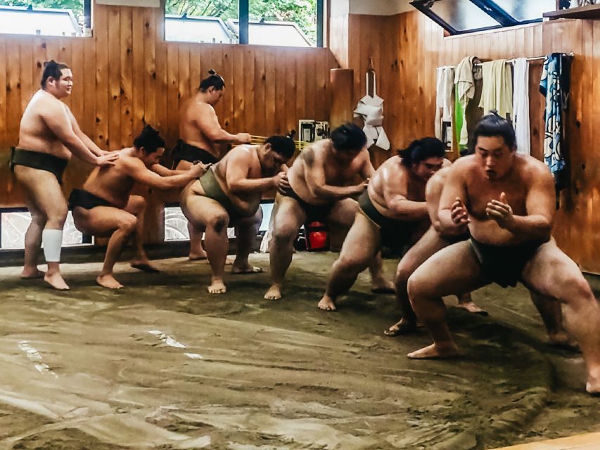 Tokyo: Sumo Morning Training Visit - The guide may explain less than you expect