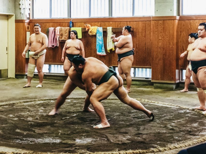 Tokyo: Sumo Morning Training Visit - Who will enjoy this most?
