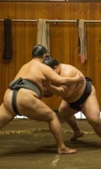 Tokyo: Sumo Show and Experience in Shinjuku - Key points at a glance