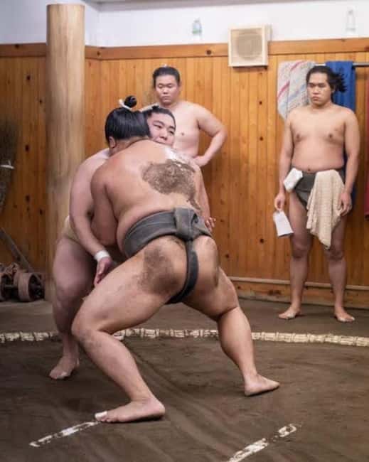 Tokyo: Sumo Show and Experience in Shinjuku - Demonstrations turn rules into action