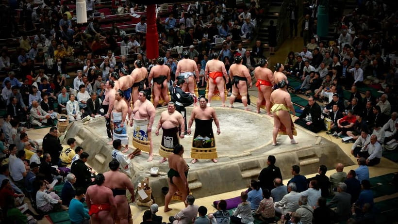 Tokyo: Sumo Tournament with Guide & Assigned Reserved Seat - What the guide adds to the match