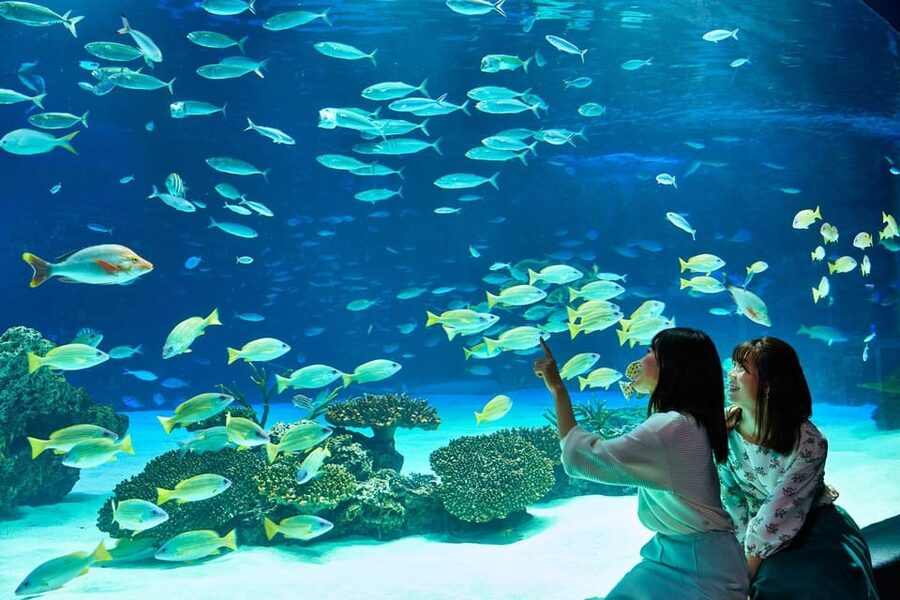 Tokyo: Sunshine Aquarium Entry Ticket - Key points to know