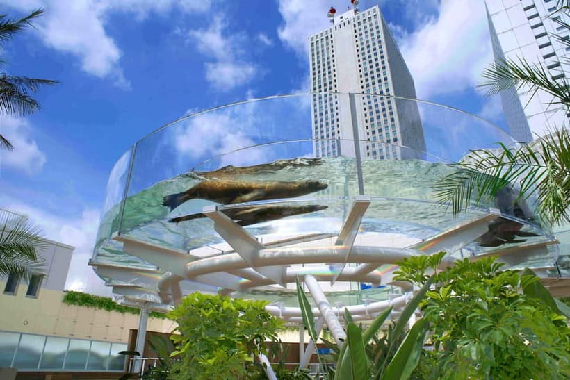 Tokyo: Sunshine Aquarium Entry Ticket - Water, greenery, and a tropical resort mood