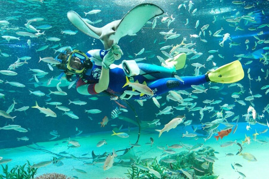 Tokyo: Sunshine Aquarium Entry Ticket - Penguins in the Sky is the main reason to go
