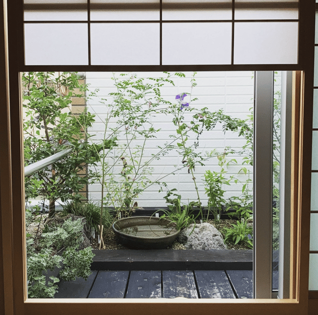 Tokyo: Tea Ceremony Experience in a small tea room - Is $51 a fair price?