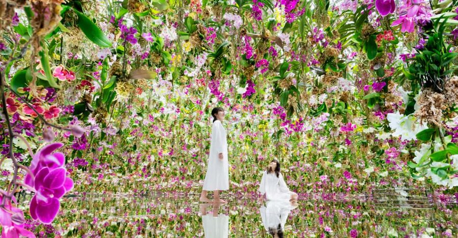 Tokyo: teamLab Planets TOKYO Digital Art Museum Entry Ticket - Who Will Enjoy This Most