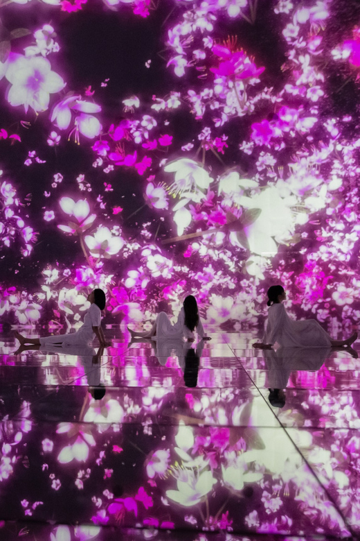 Tokyo: teamLab Planets TOKYO Digital Art Museum Entry Ticket - How Long to Allow and How to Pace the Visit