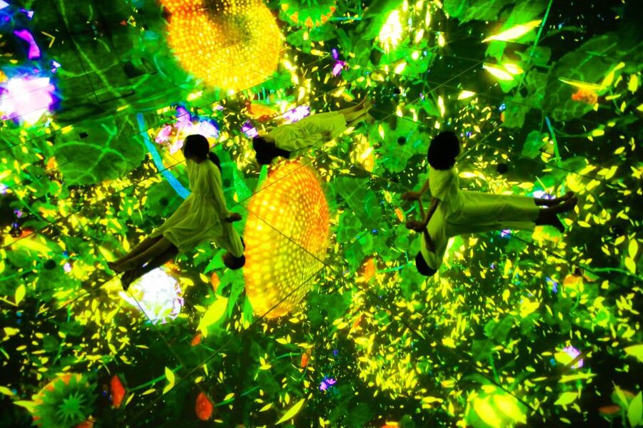 Tokyo: teamLab Planets TOKYO Digital Art Museum Entry Ticket - Timing, Queues, and the Outdoor Wait