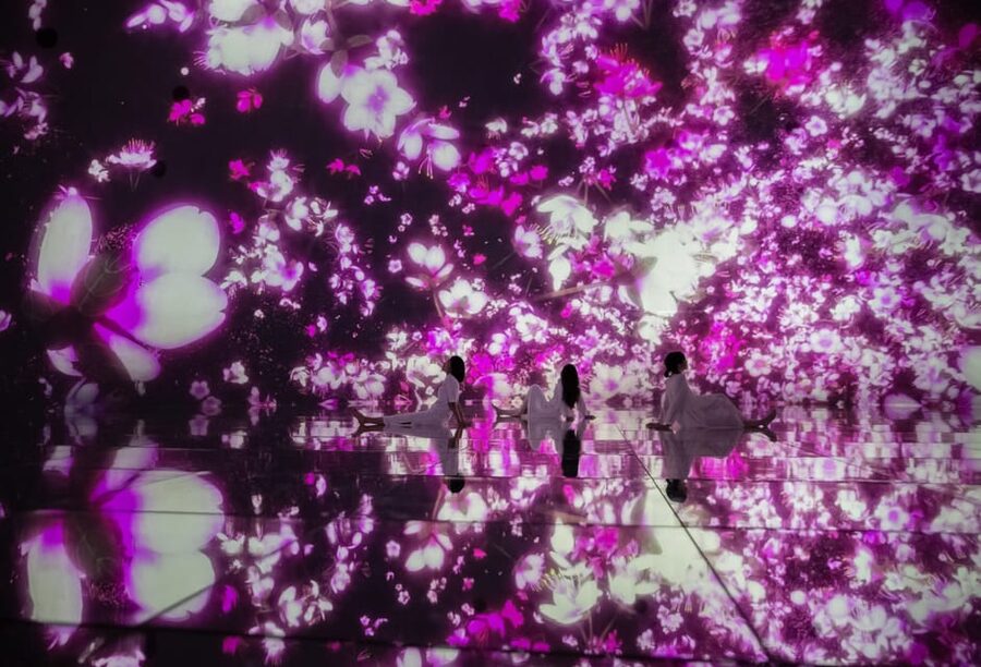 Tokyo: teamLab Planets TOKYO Digital Art Museum Entry Ticket - Is the $25 Ticket Good Value?