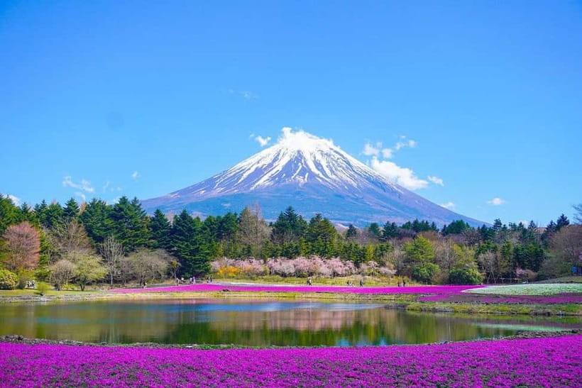 Tokyo To Mount FUJI Day Trip With English guide - Kitaguchi Hongu Fuji Sengen Shrine and the mountain’s spiritual side