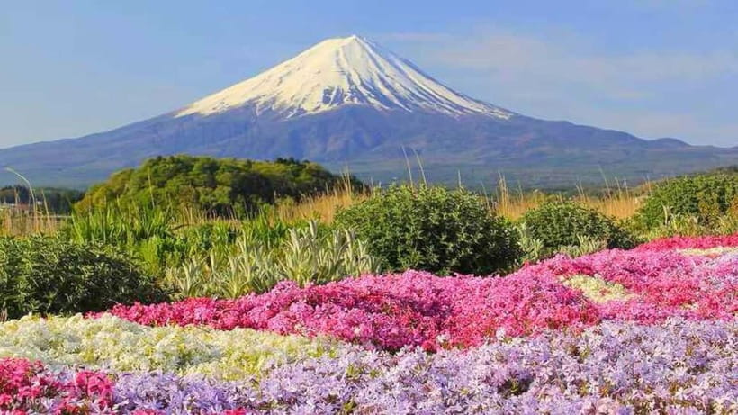 Tokyo To Mount FUJI Day Trip With English guide - Lake Kawaguchi: the day’s main activity block