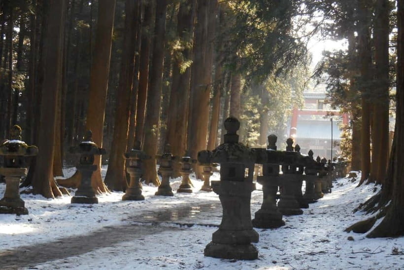 Tokyo To Mount FUJI Day Trip With English guide - Gotemba Premium Outlets: useful, but not essential
