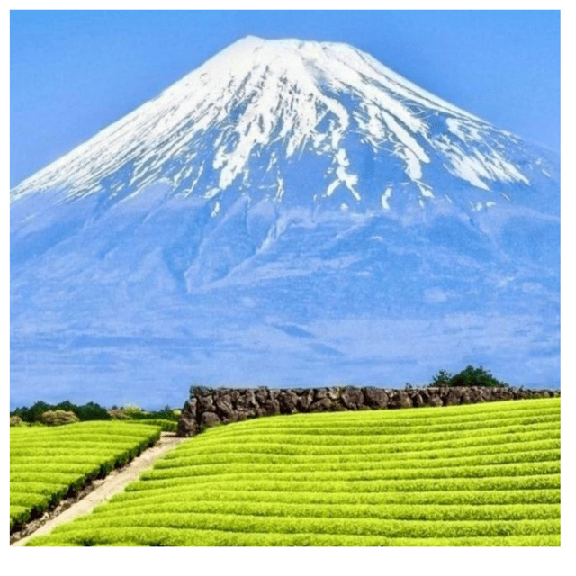 “Tokyo to Mt. Fuji & Hakone: Private Customizable Day Trip” - Why private transport changes this Fuji day