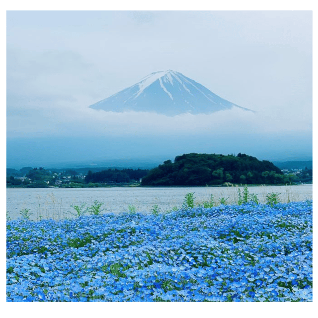 “Tokyo to Mt. Fuji & Hakone: Private Customizable Day Trip” - Hakone brings a different mood