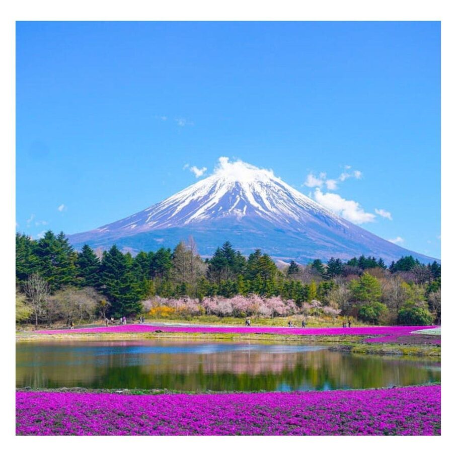 “Tokyo to Mt. Fuji & Hakone: Private Customizable Day Trip” - Making the most of ten hours