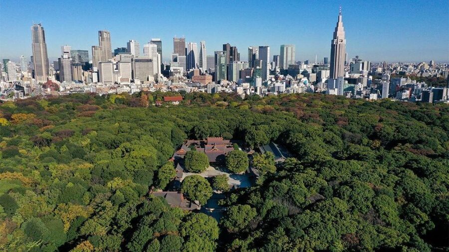Tokyo: Tokyo Private Day Tour With Guide - Meiji Jingu: forest paths beside Harajuku