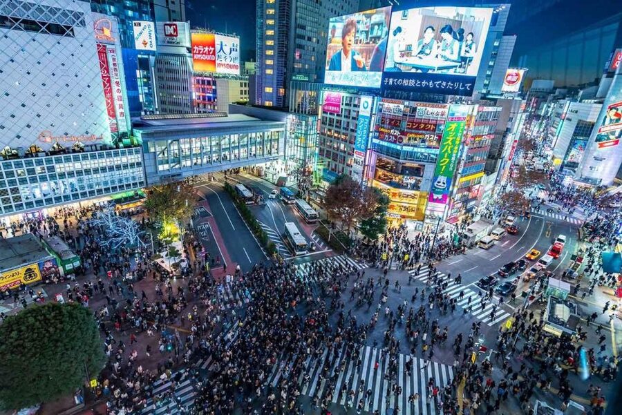 Tokyo: Tokyo Private Day Tour With Guide - Shibuya Crossing: a short stop with a big visual payoff