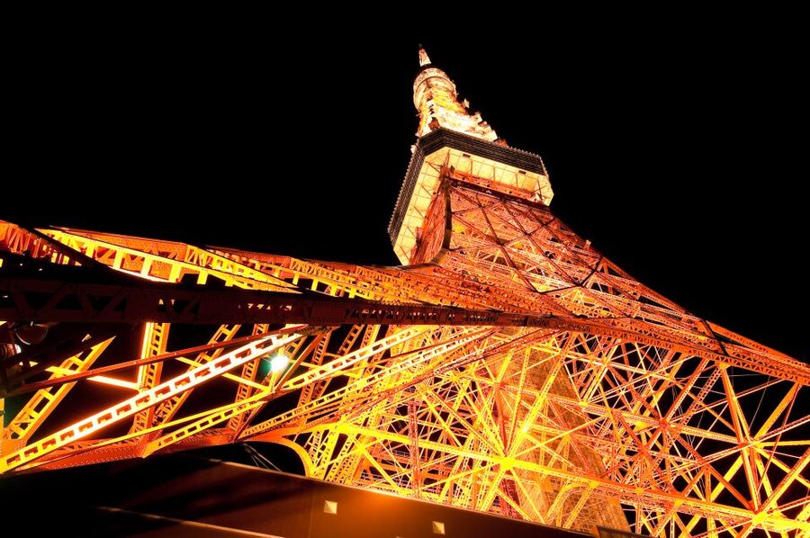 Tokyo Tower: Admission Ticket - How the ticket works and what the options mean