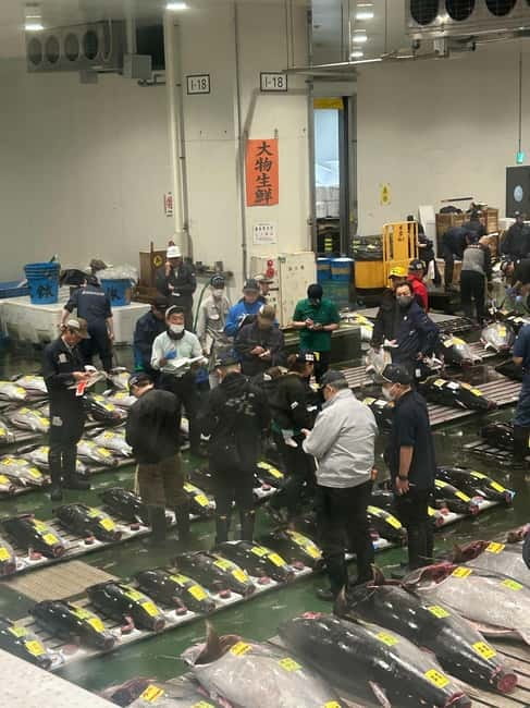 Tokyo Toyosu Tuna Auction + Breakfast (Sushi Dai or Bentomi) - Timing, meeting point, and what to bring