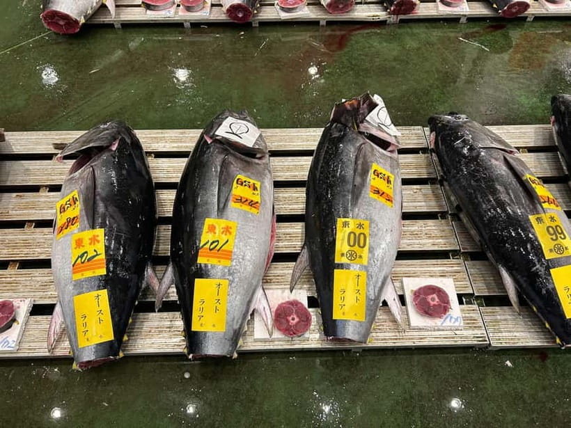 Tokyo Toyosu Tuna Auction + Breakfast (Sushi Dai or Bentomi) - The third-floor gallery and the ground-level deck