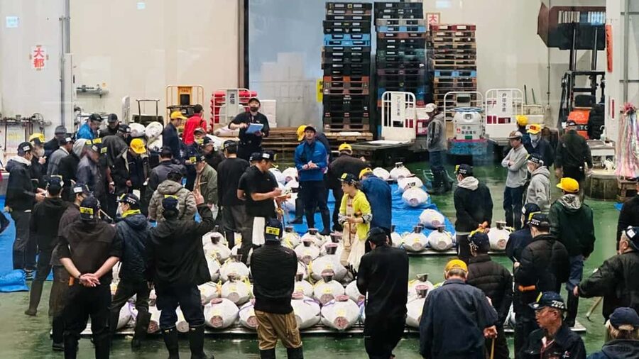 Tokyo: Toyosu Tuna Auction &Tsukiji Market Gourmet Adventure - 6:30 to 7:15 AM, a seafood breakfast at Toyosu