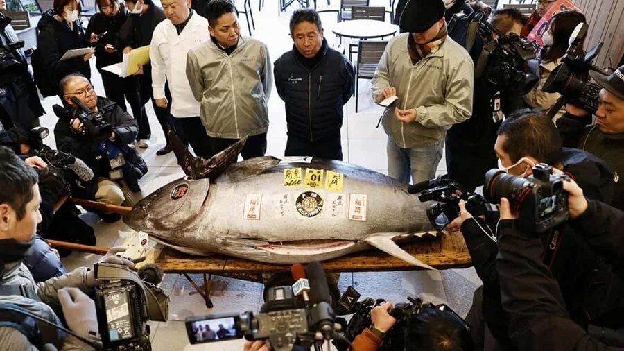 Tokyo: Toyosu Tuna Auction &Tsukiji Market Gourmet Adventure - The 5:00 AM start requires real planning