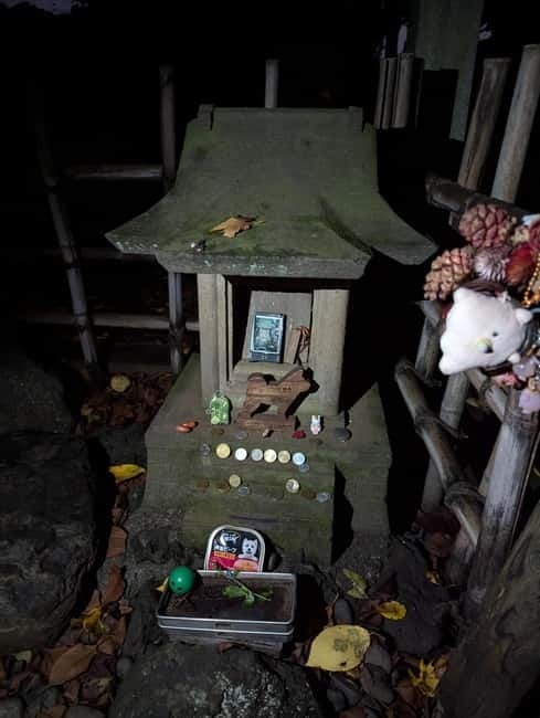 Tokyo: True Crime And Ghost Stories Tour - Toyama Park and the darkest historical stop