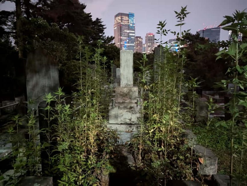 Tokyo: True Crime And Ghost Stories Tour - Walking time, stairs, and the cost of the route