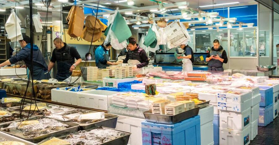 Tokyo Tsukiji Food & Culture Private Tour Licensed Guide - A six-hour food day built around your interests