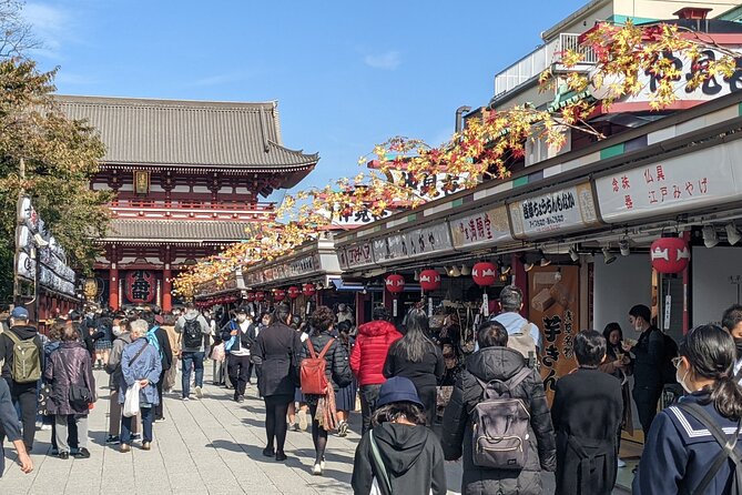 Tokyo VIP Guided Private Car Tour with Optional Airport Transfer - A private way to get your Tokyo bearings