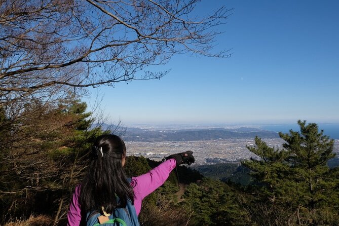 Traverse Outer Rim of Hakone Caldera and Enjoy Onsen Hiking Tour - The 30 minute descent toward Lake Ashi