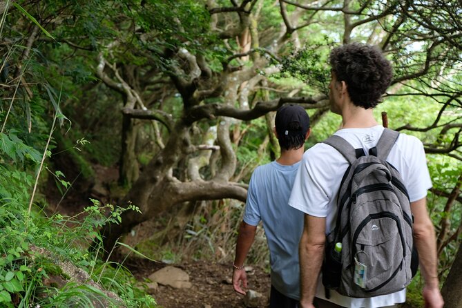 Traverse Outer Rim of Hakone Caldera and Enjoy Onsen Hiking Tour - Lunch near Togendai