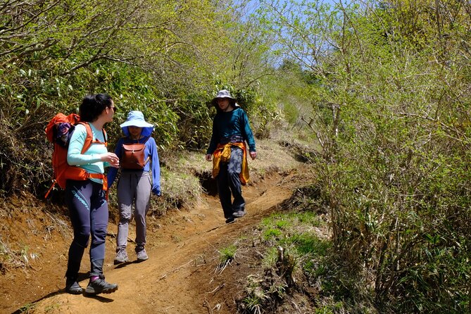 Traverse Outer Rim of Hakone Caldera and Enjoy Onsen Hiking Tour - Who should book this hike?