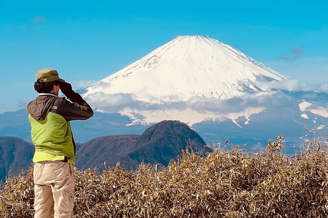 Traverse Outer Rim of Hakone Caldera and Enjoy Onsen Hiking Tour - The climb from Sengokuhara
