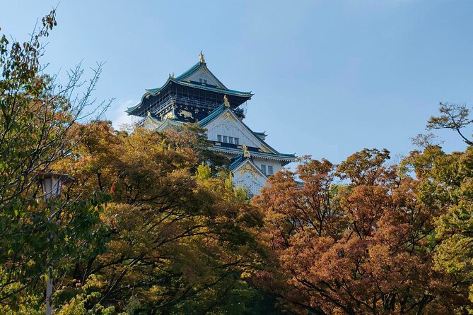 Ultimate Osaka Walking Tour: Castle, Dotonbori & Hidden Gems - A full day that connects Osaka’s different personalities