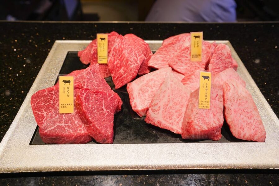 Wagyu Beef & Sake Pairing Foodie Tour in Tokyo - A5 Wagyu at the Ginza teppan