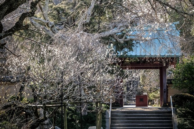 When Emperors Reigned and Shoguns Ruled - Komachidori, where old Kamakura meets today’s town