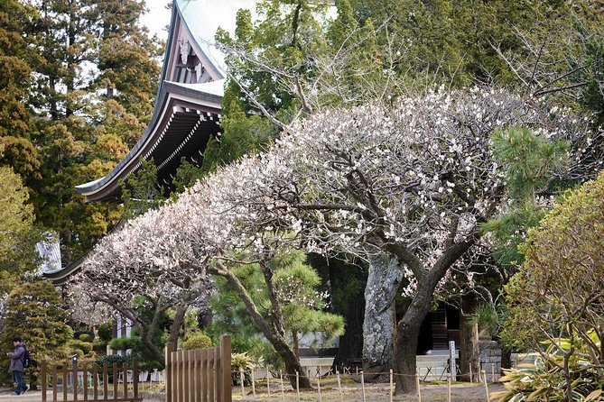 When Emperors Reigned and Shoguns Ruled - The Great Buddha of Kamakura