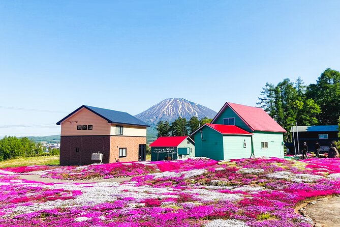 Wherever you want! 1-Day Private Tour from Sapporo to Furano more - Sapporo, Otaru, and unusual custom routes
