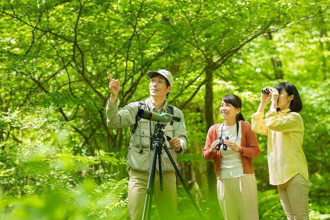 Wild Bird Sanctuary Forest Guided Tour in Nagano - Key points to know before you go