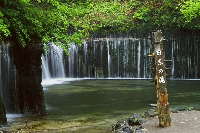 Wild Bird Sanctuary Forest Guided Tour in Nagano - Why the price offers good value