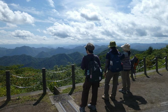 Wild Bird Sanctuary Forest Guided Tour in Nagano - Who should book this walk