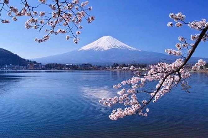 Winter Special: Clear View Mt. Fuji E-Bike Tour - What the $105.42 price includes