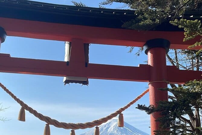 Winter Special: Clear View Mt. Fuji E-Bike Tour - Who should book this ride